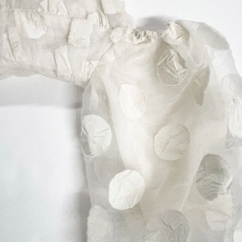 Zara Womens Bloggers Fave Cream Rose Petal Balloon Sleeve Cropped Top Size XS